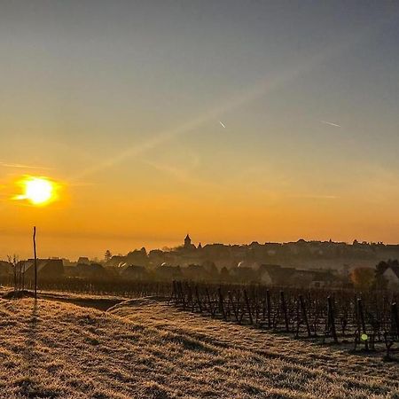 Le Vent D'Ange Villa Zellenberg Kültér fotó