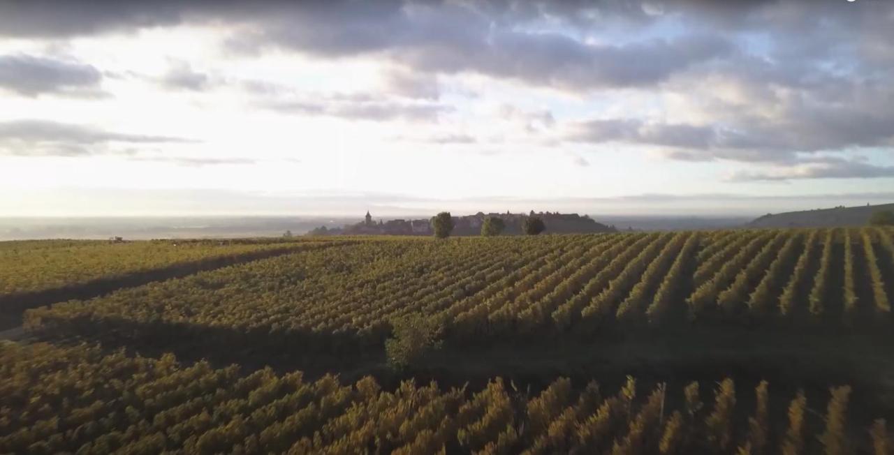 Le Vent D'Ange Villa Zellenberg Kültér fotó