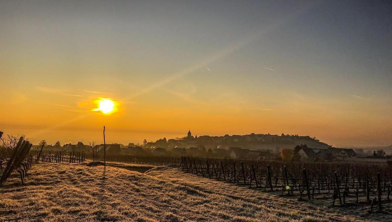 Le Vent D'Ange Villa Zellenberg Kültér fotó