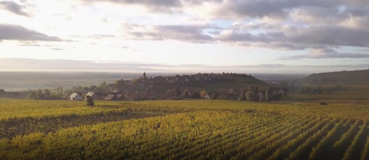 Le Vent D'Ange Villa Zellenberg Kültér fotó